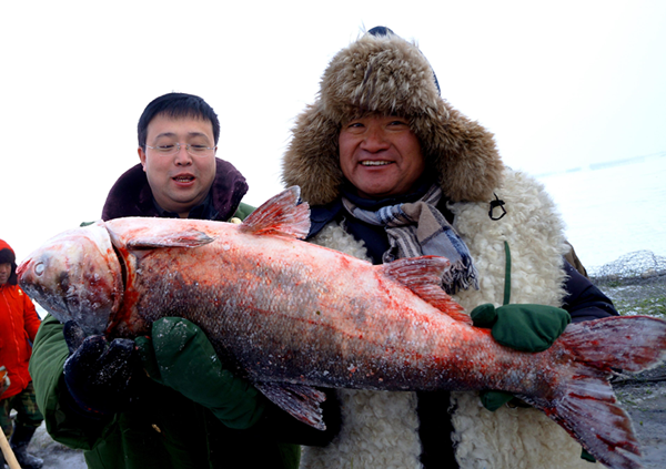 首届冬捕节“头鱼”拍卖，拍得19.8万元。.bmp